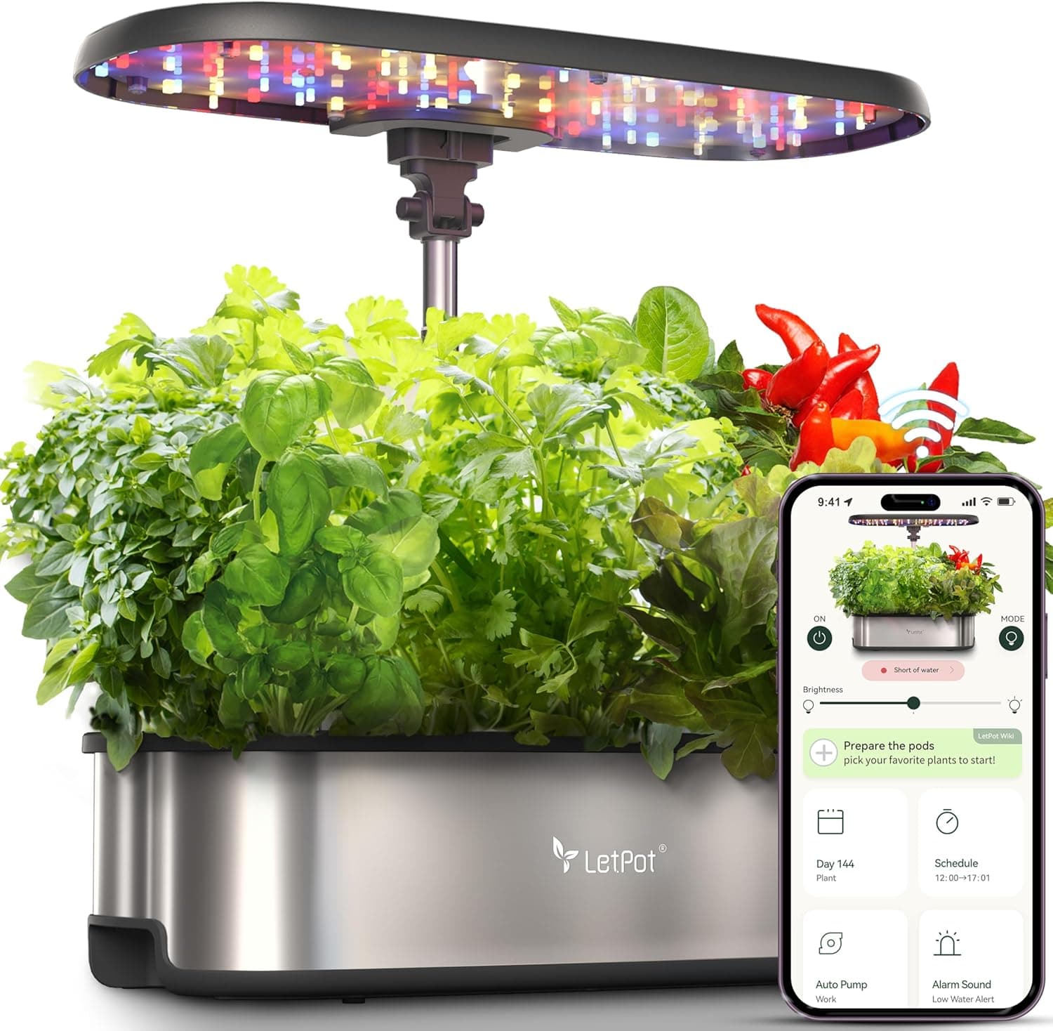 Smart Garden Kräuter-Tipps