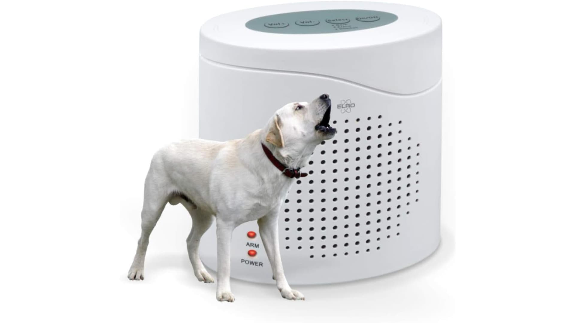 Was ist ein elektronischer Wachhund?