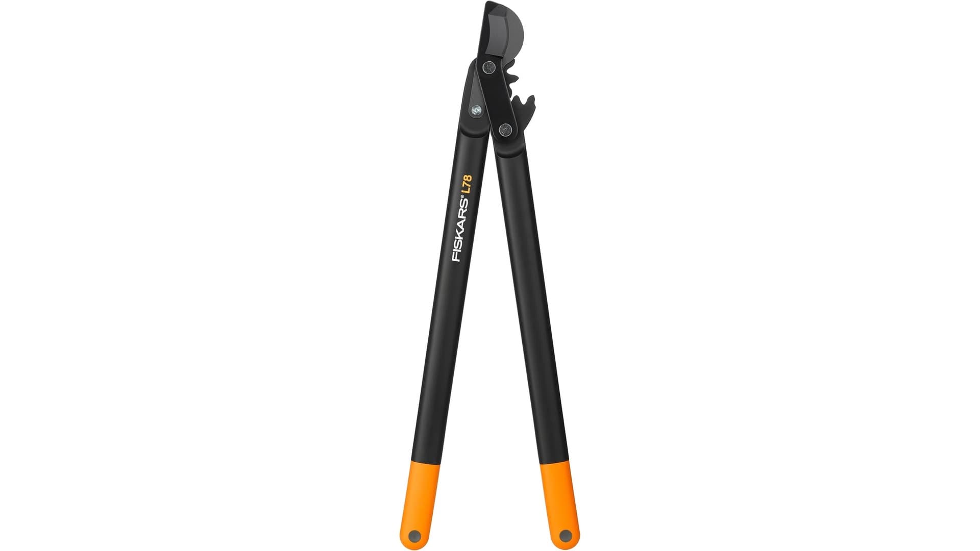 Was ist eine Fiskars-Astschere?