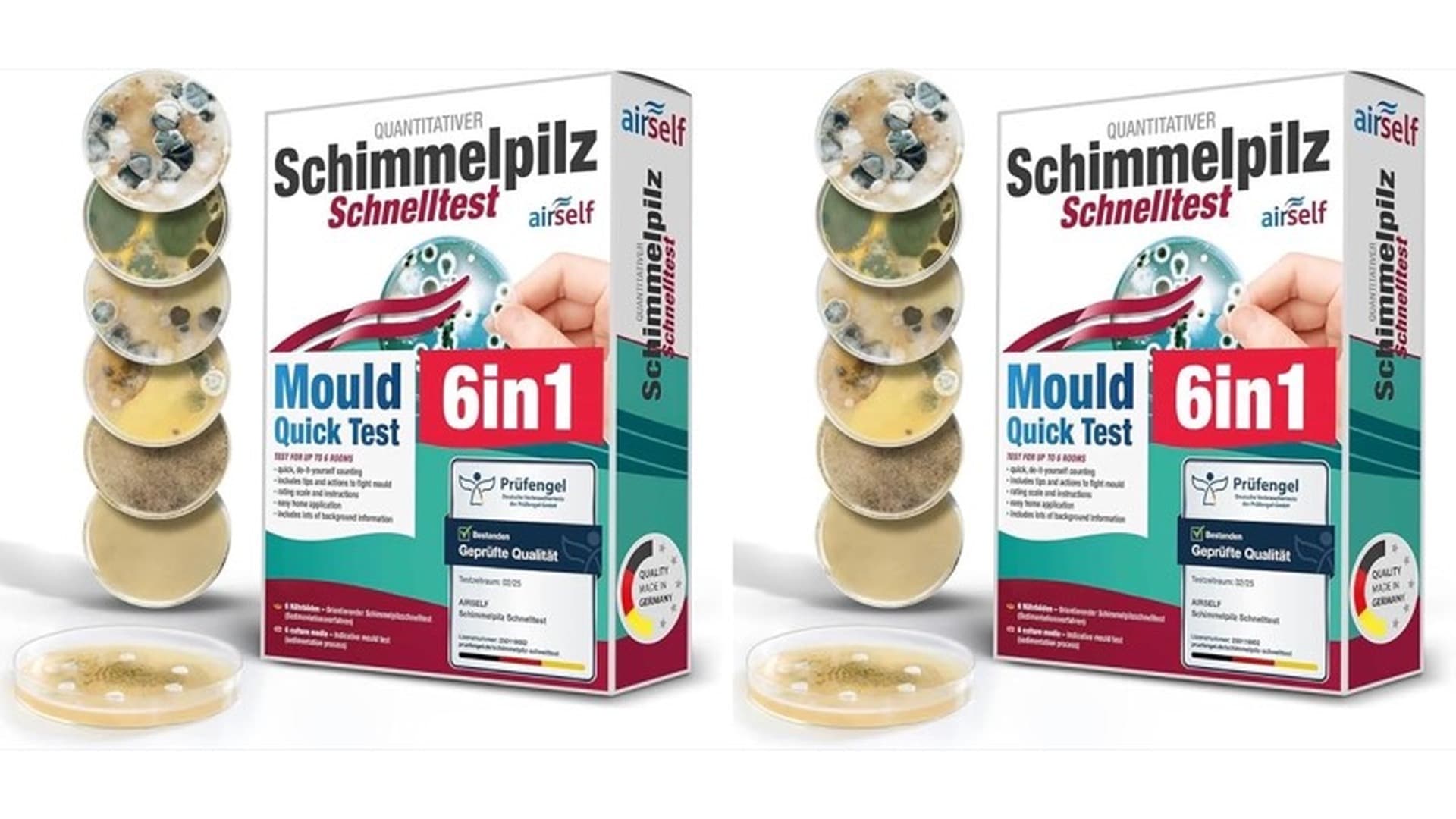 Was ist ein Schimmeltest?