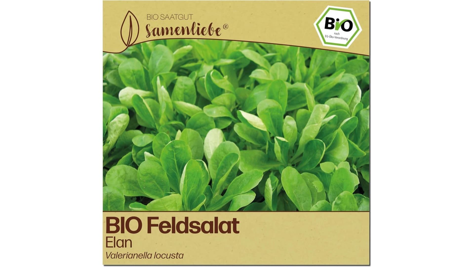 Was sind Feldsalat-Samen?