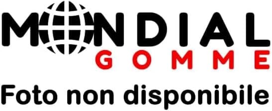 Goodride Allseason Elite Z-401 185/55 R15 82H