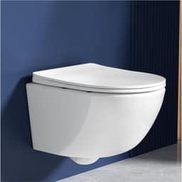 Rainsworth Rainsworth Wand-WC spülrandlos, 3 l, 48,5 cm – günstig