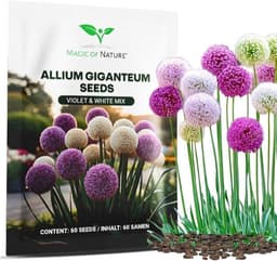 Magic of Nature Riesen-Zierlauch Samen 60 Stück