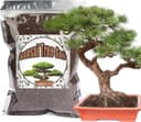 GOTVUGE Bonsai-Erde · 1 L