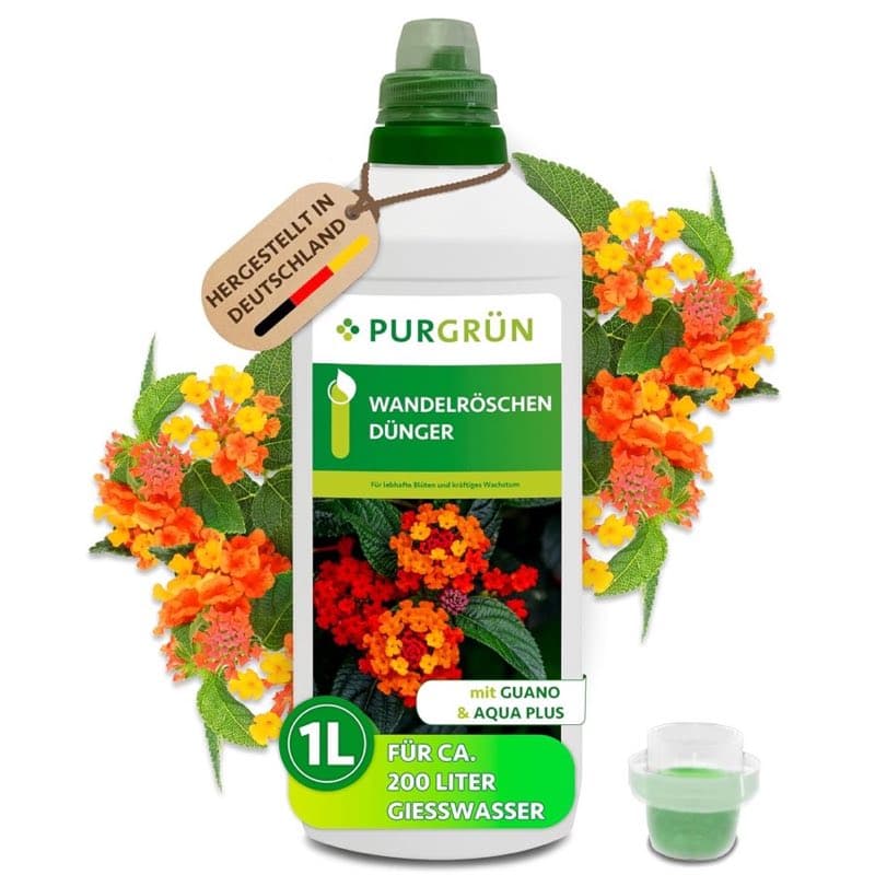 Purgrün Wandelröschen mit Guano · NPK 8+8+6