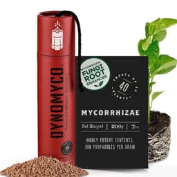 DYNOMYCO DYNOMYCO Mykorrhiza · 200 g / 40 Pflanzen