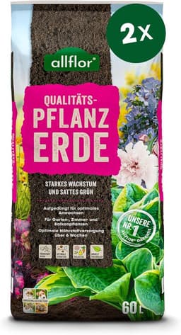 ALLFLOR Allflor Pflanzerde · 2×60 L
