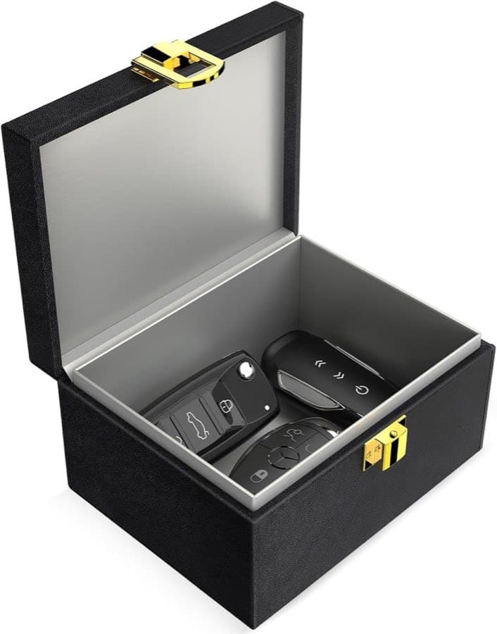 lanpard Faraday-Minibox