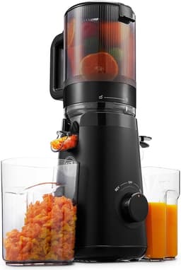 TUUMIIST TUUMIIST Slow Juicer 580