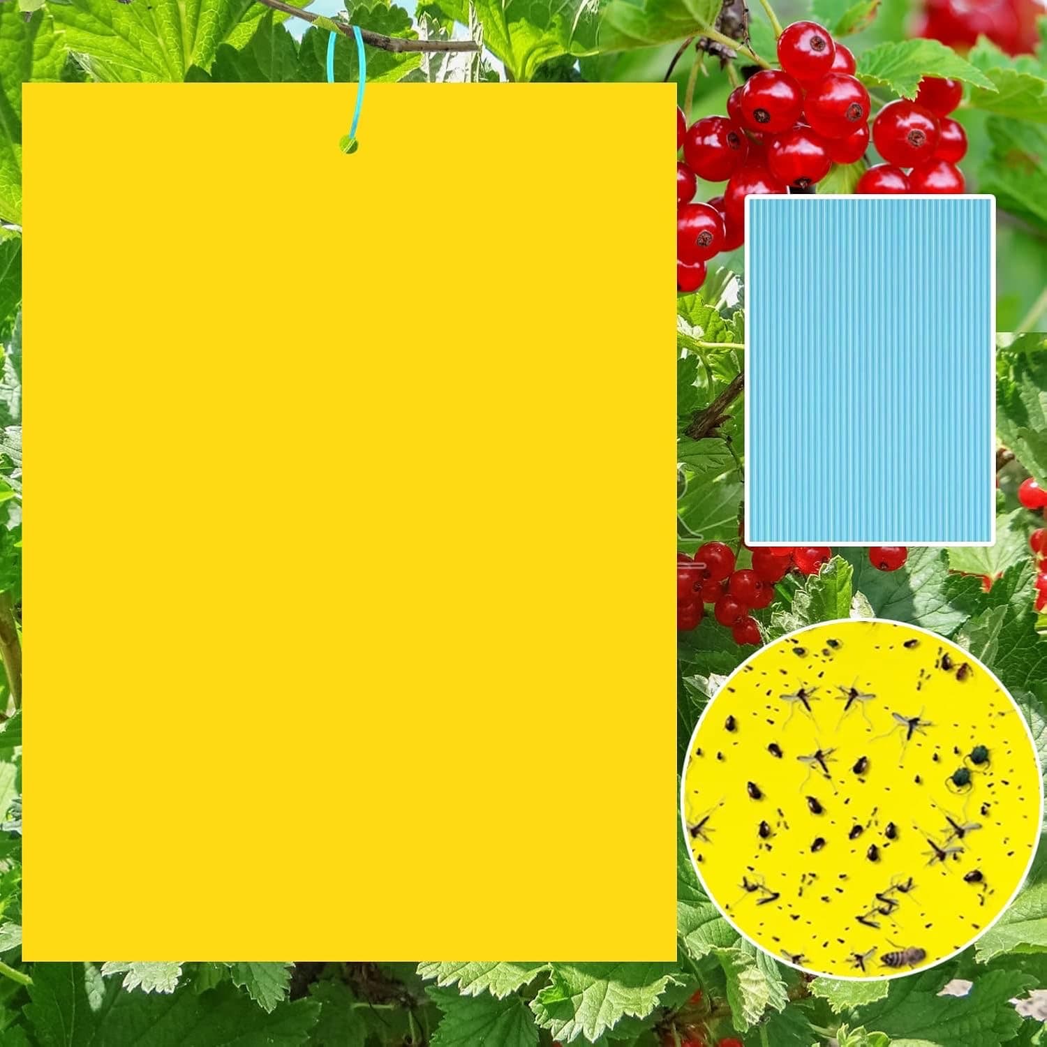 Sunshine smile Gelbtafeln 40er (20×15 cm)