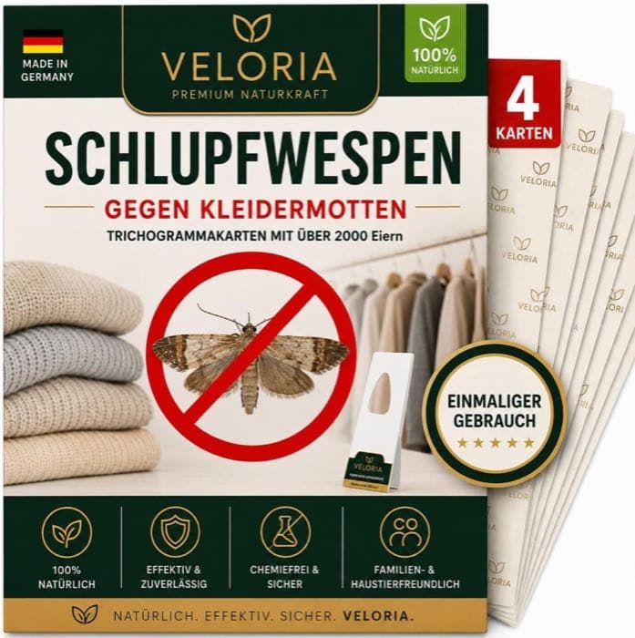 VELORIA Schlupfwespen 4 Karten