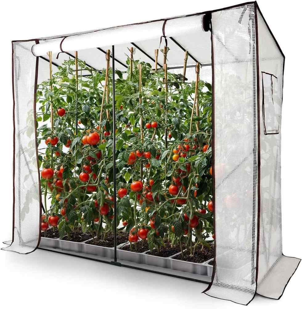 Arebos Tomaten-Foliengewächshaus