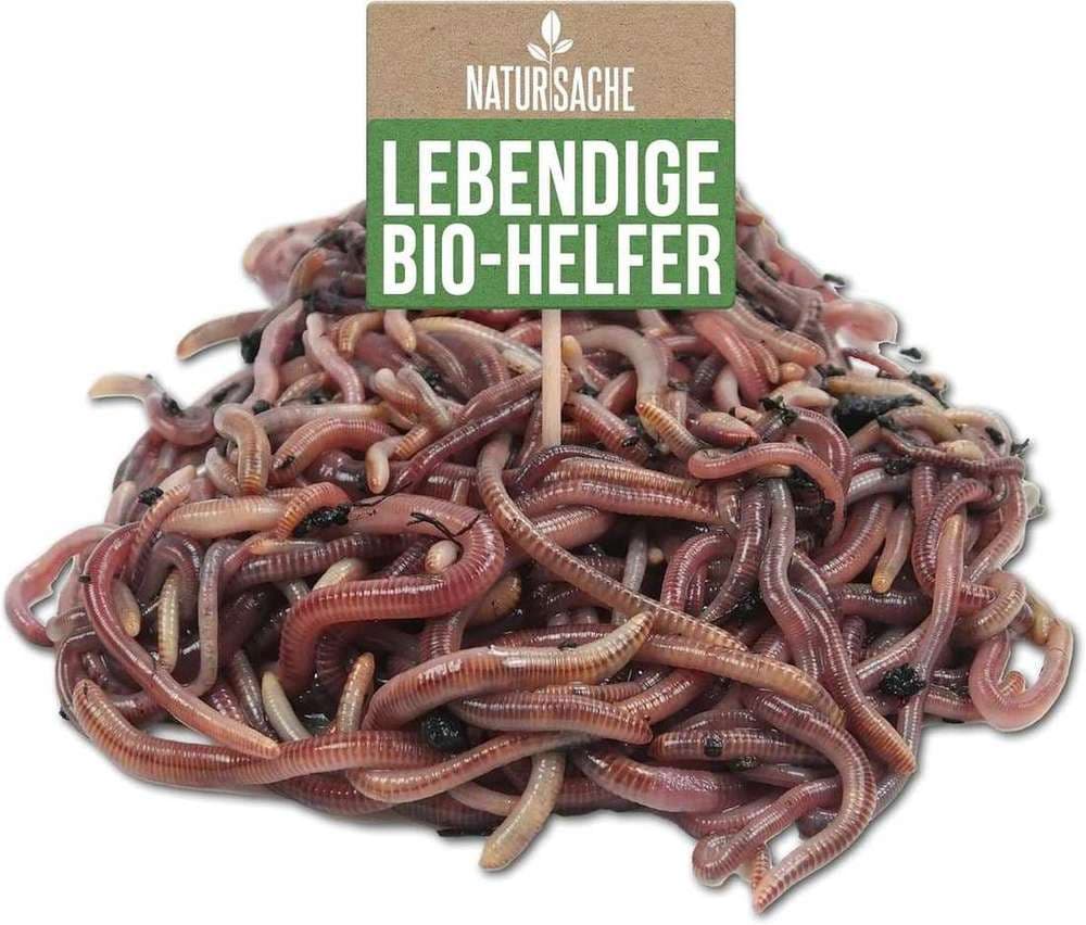 Natursache Kompostwurm-Mix (Varianten 250–1500)