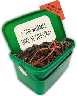 WURMSYSTEME 500 Kompostwürmer in 5-Liter-Box