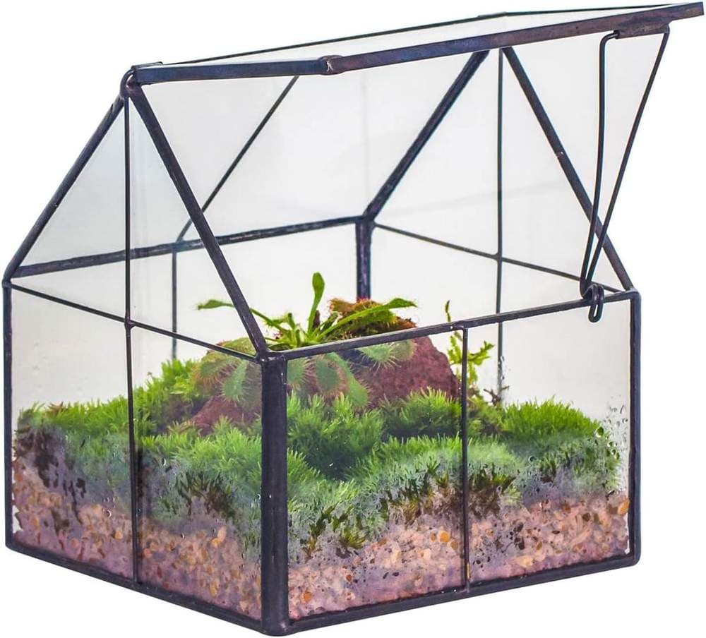 NCYP Mini-Glas-Terrarium