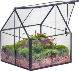 NCYP Mini-Glas-Terrarium