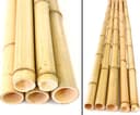 Bambusrohr 400 cm Ø 4,5–6 cm (5er Set)