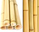 Bambusrohr 300 cm Ø 4,5–6 cm (10er Set)