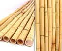 Bambusrohr 300 cm Ø 2,8–3,5 cm (12er Set)