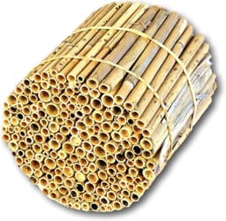 Hiss Reet BeeCasa Schilfrohrhalme MEDIUM 16 cm