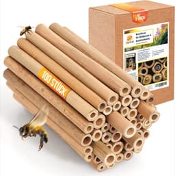 BEESI Nisthülsen Bambus 14 cm (200 Stück)