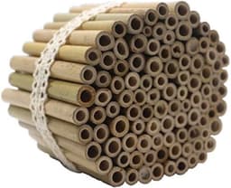 Super Idee Bambusröhrchen 100 × 10 cm (Super Idee)