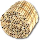 BeeCasa Schilfrohrhalme Premium 11 cm