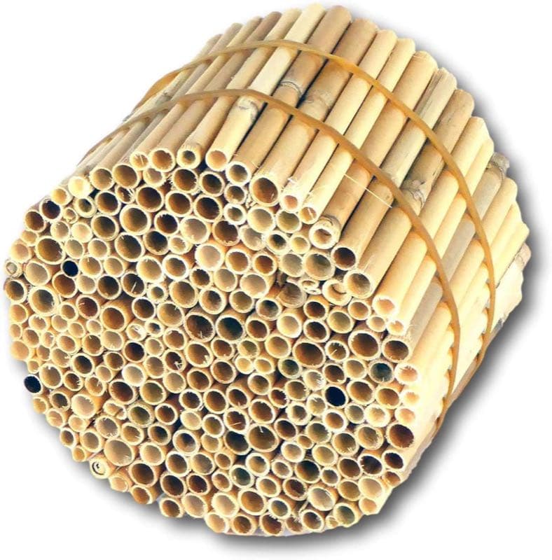 BeeCasa Schilfrohrhalme Premium 11 cm