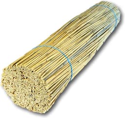 Hiss Reet BeeCasa Schilfrohrhalme FEIN 80 cm