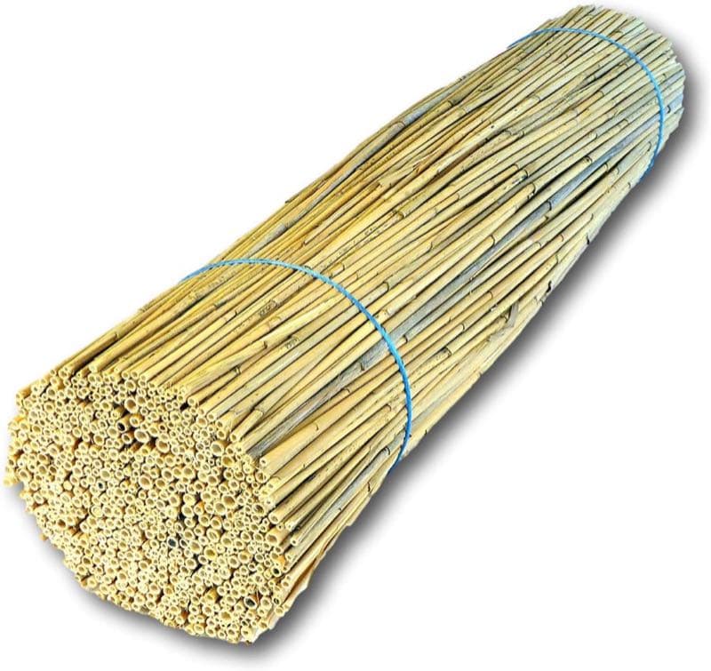 BeeCasa Schilfrohrhalme FEIN 80 cm