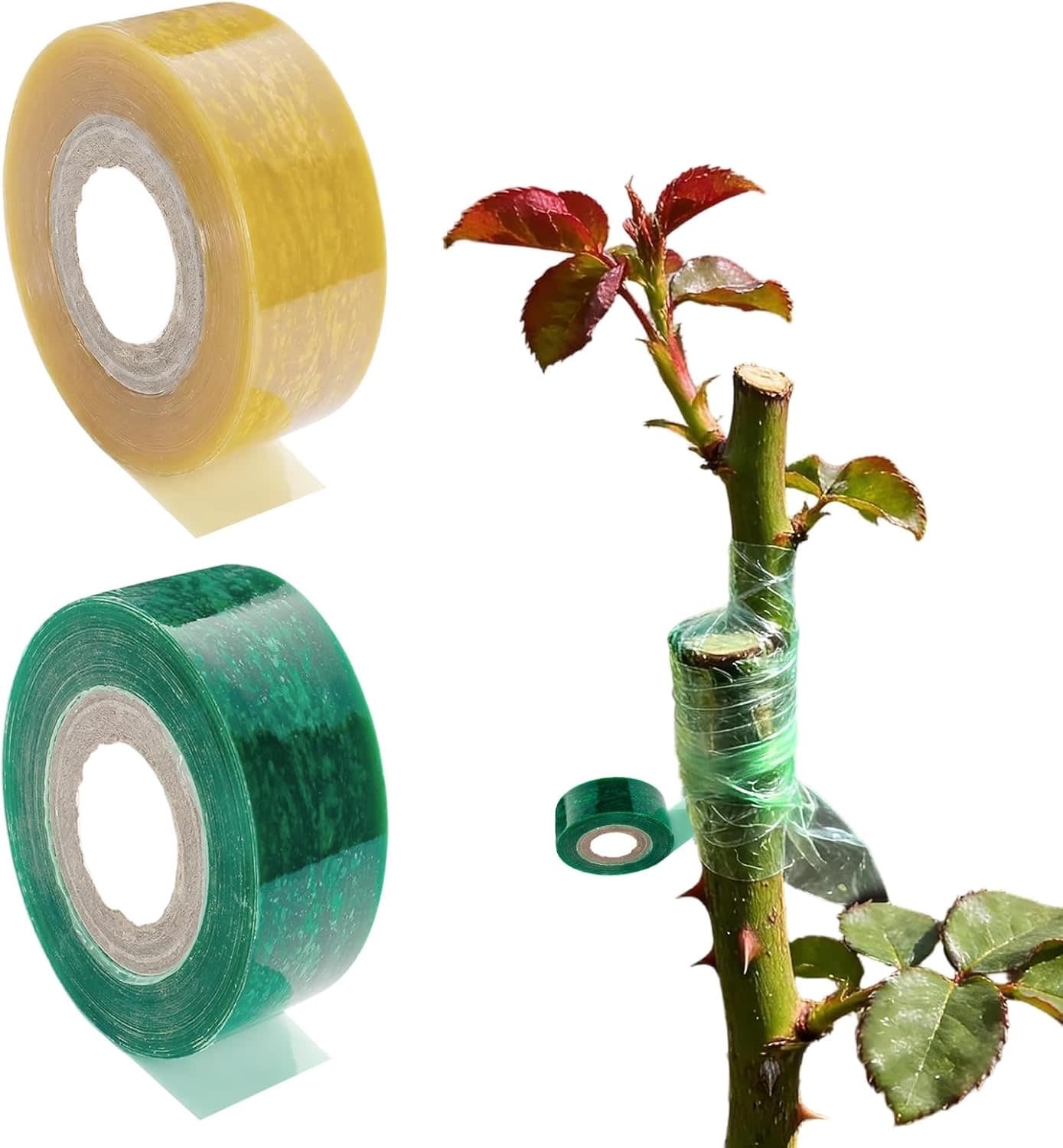 2 Rollen 2 cm Grün/Gelb