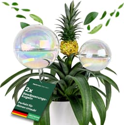 Netrox 2er Set Bewässerungskugeln Glas