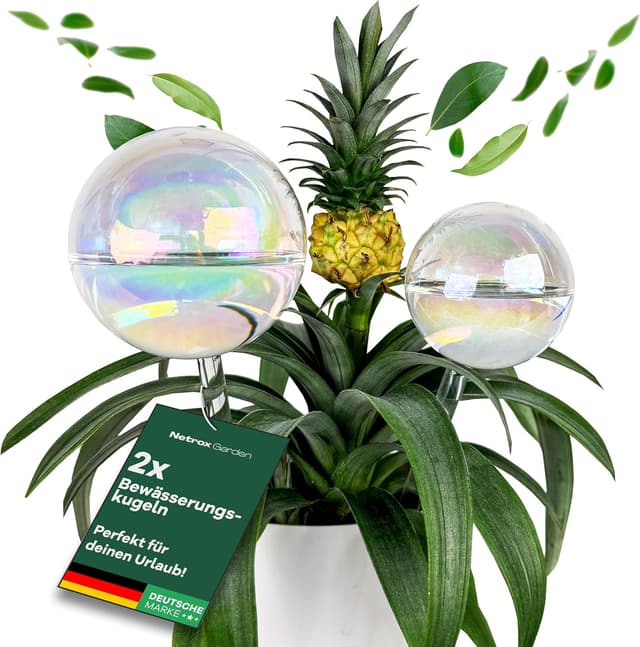 Netrox 2er Set Bewässerungskugeln Glas