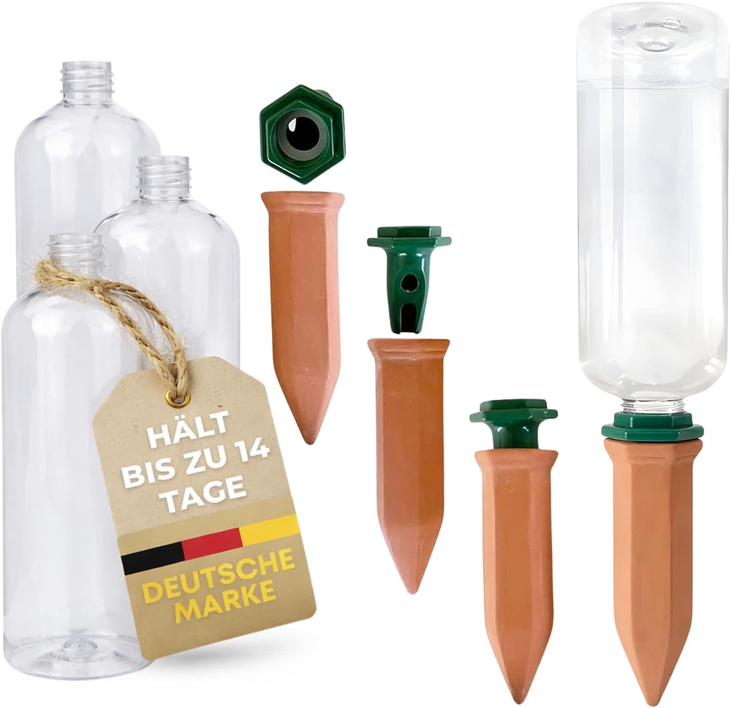 Tonkegel-Set 4 Pflanzen mit PET-Flaschen