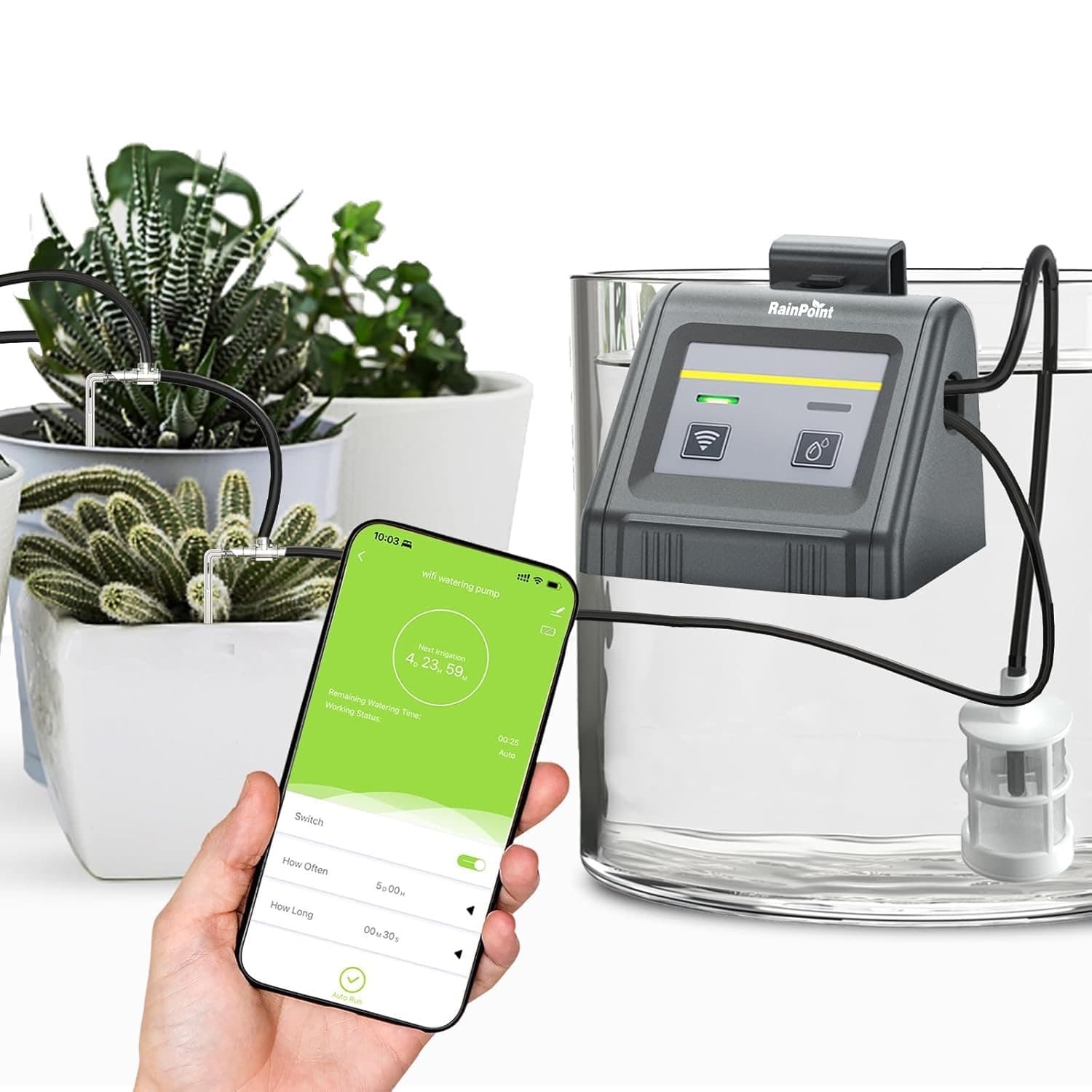 RAINPOINT WiFi Bewässerung 10 Pflanzen