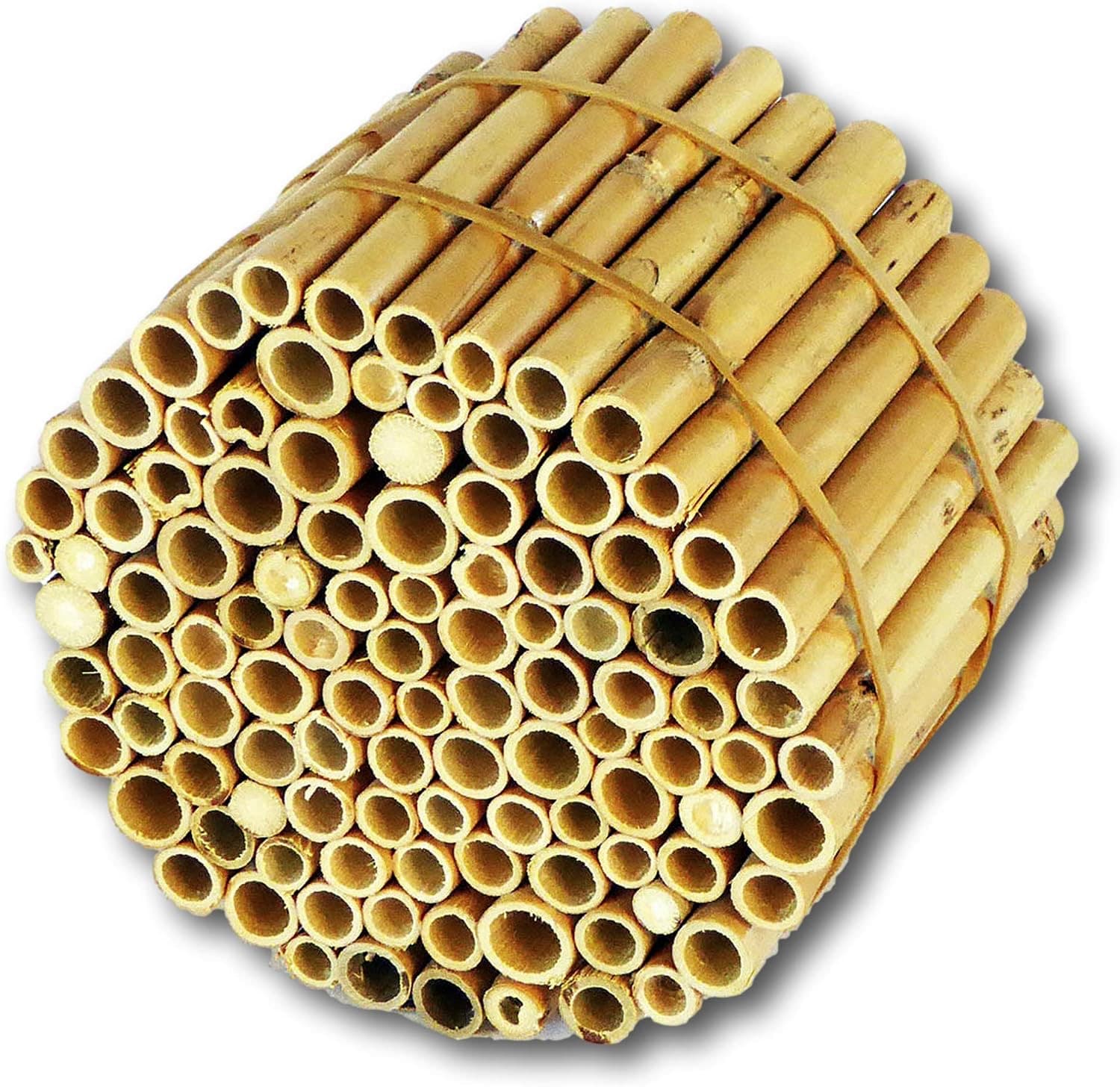 BeeCasa Schilfrohrhalme EXTRA 11 cm