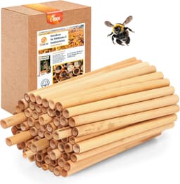 BEESI BEESI Schilf-Nisthülsen 200 × 14 cm