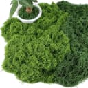 Acual Deko Moos 200g Bastelmoos