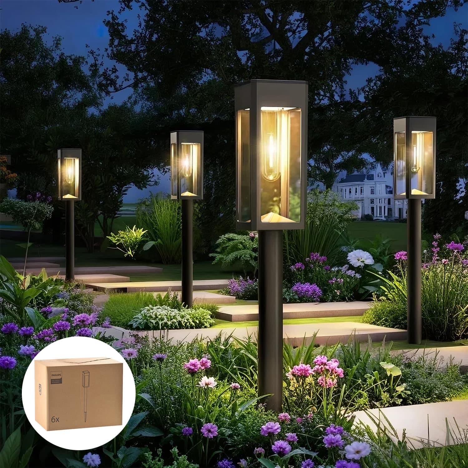 Philips 6er Filament