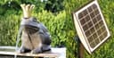 Wasserspeier Froschkönig Guß Solar 170 l/h