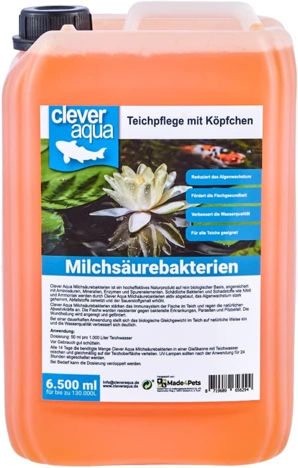 Clever Aqua Milchsäure 6,5 l