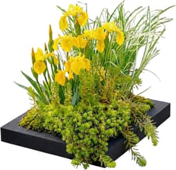 vdvelde vdvelde Filterinsel 25 cm