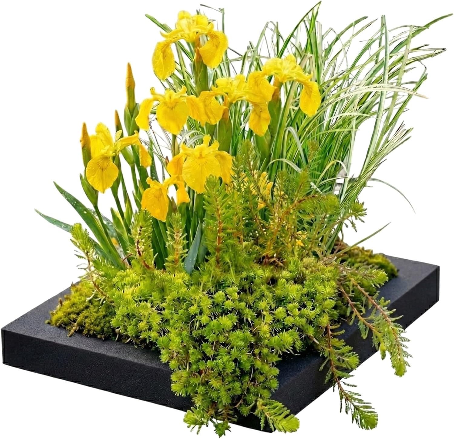 vdvelde Filterinsel 25 cm