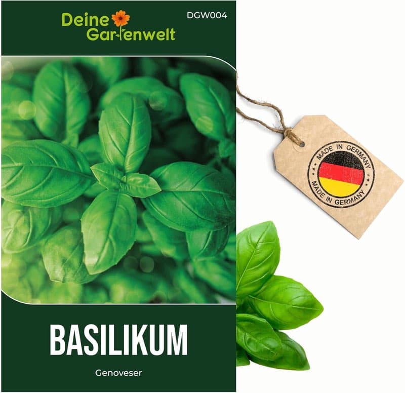 DeineGartenwelt Basilikum Genoveser