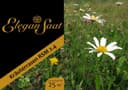 EleganSaat Kräuterrasen RSM 2.4