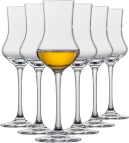 Schott Zwiesel Schott Zwiesel Grappaglas Bar Special 6er
