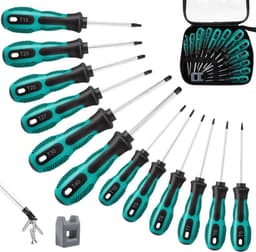 Anesty Anesty Torx-Set 12-teilig T5–T40 magnetisch