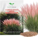Magic of Nature Pampasgras-Samen rosa