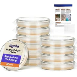 iigala iigala Schimmeltest Kit 10 Tests DIY